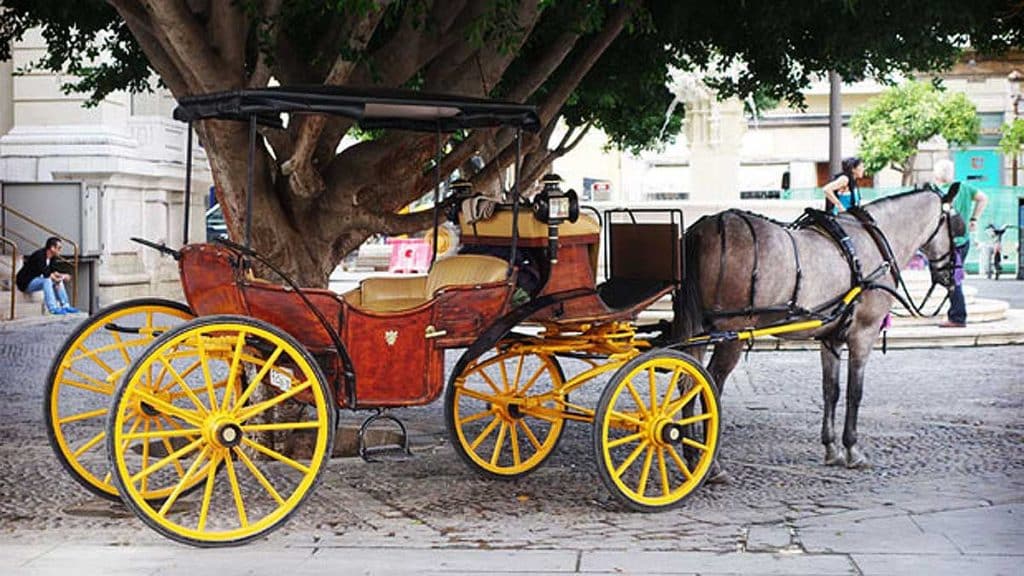 Vista de un carro a la sombra de un árbol.