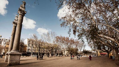 Vista del Bulevar de la Alameda de Hércules.