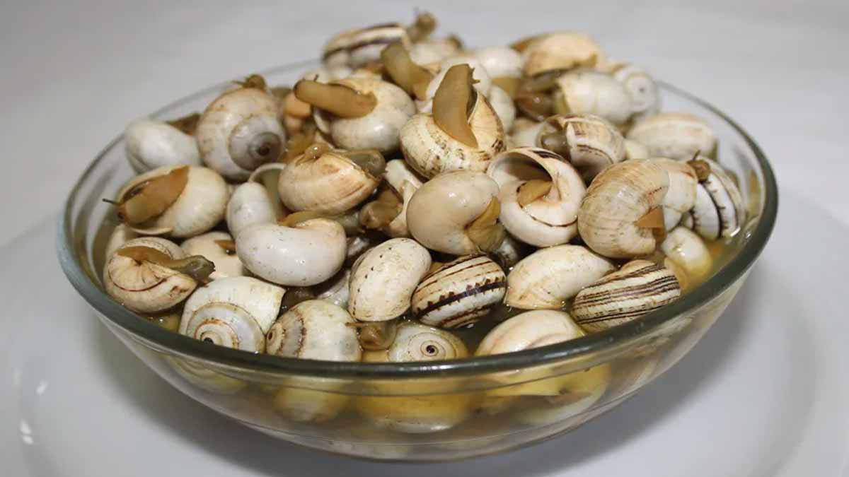 Plato de caracoles.