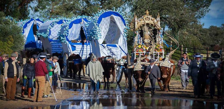 Las Hermandades sevillanas comienzan su peregrinar al Rocío
