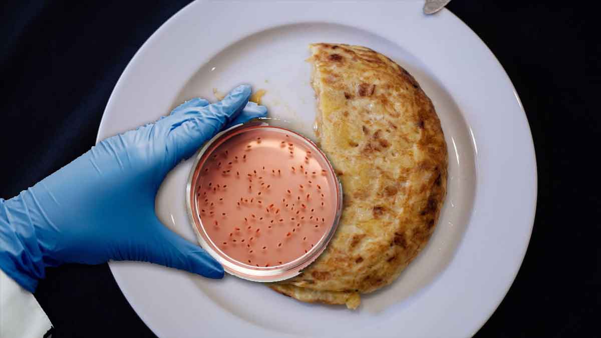 El peligro de las tortillas con trazas de botulismo