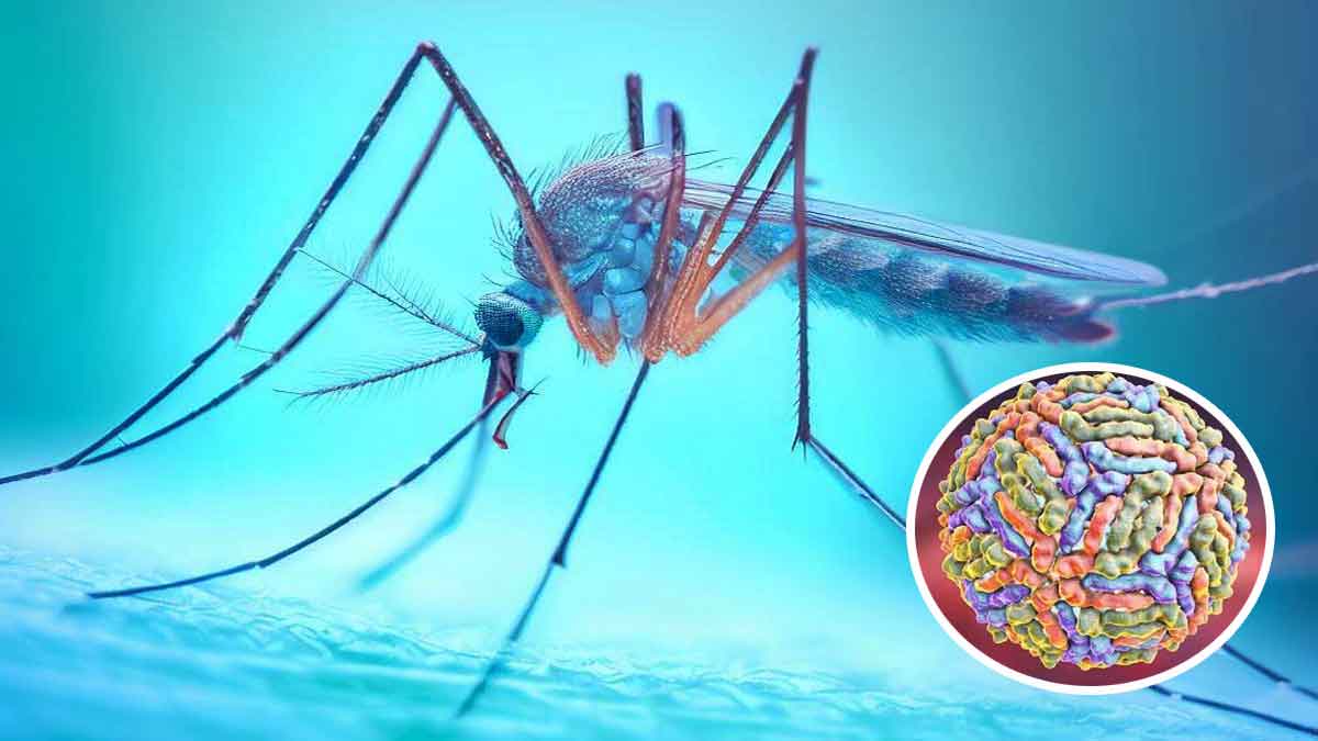 Sube la densidad de mosquitos con el virus del Nilo