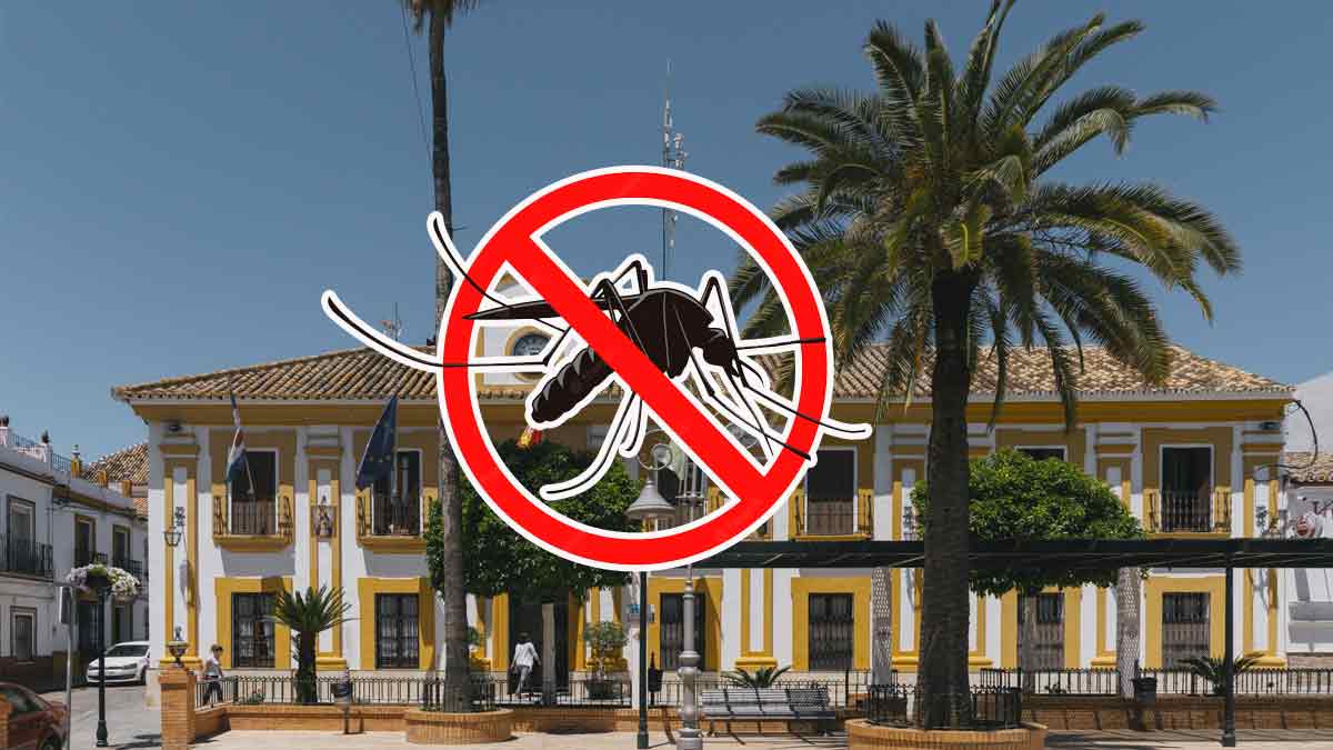 La localidad de Guillena en 'riesgo grave' por la presencia de mosquitos Culex y VNO