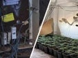 Endesa abre un expediente por fraude eléctrico cada 30 minutos en Sevilla: la mayoría está vinculada a la marihuana