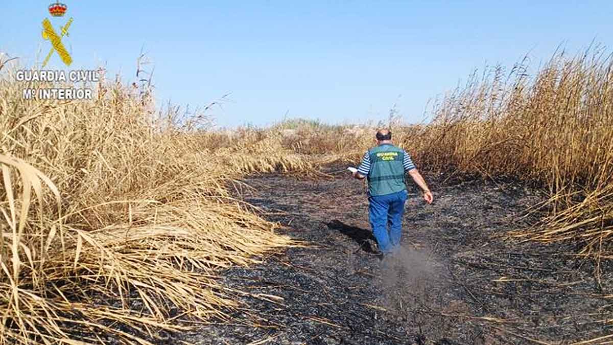 La Guardia Civil investiga a un pirómano por provocar un incendio en la reserva 'Dehesa de Abajo'