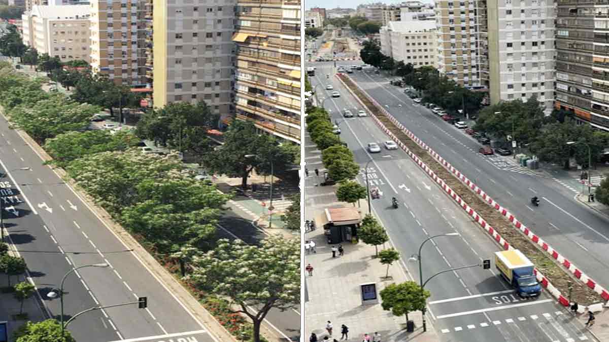 La necesidad urgente de Sevilla de zonas con árboles y sombra