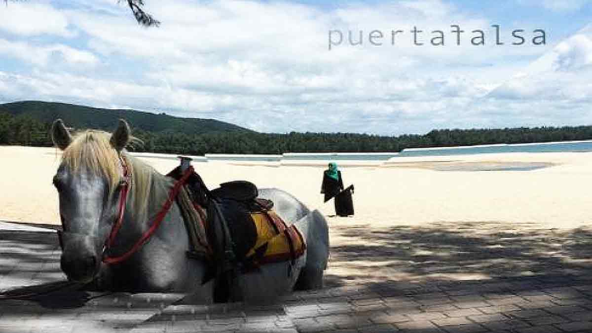 'Renacer' el nuevo trabajo del grupo sevillano 'Puertafalsa'