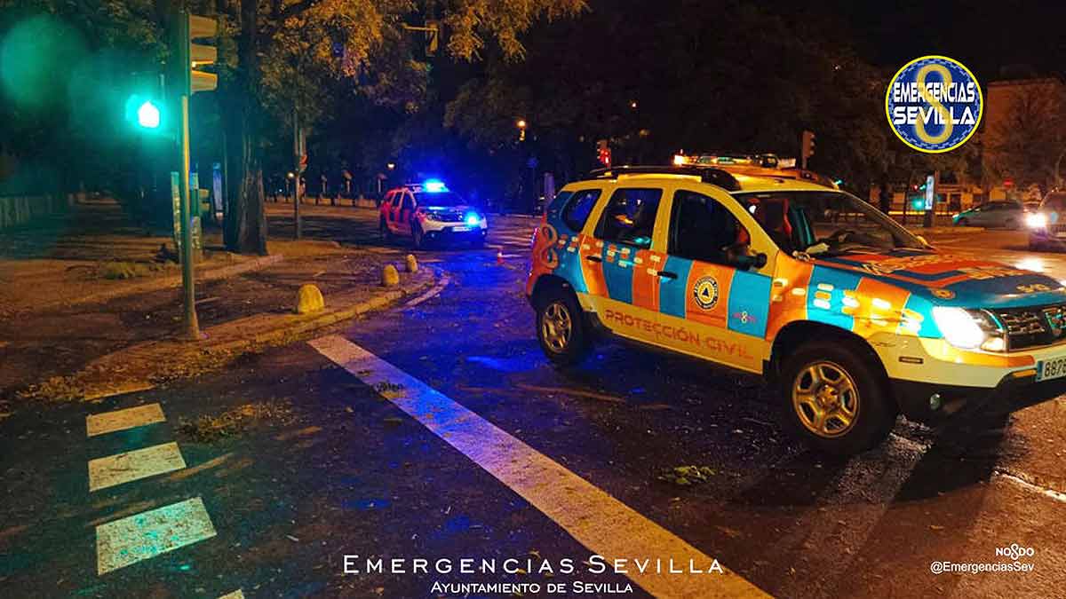 Más de 500 incidencias en Sevilla debido a la borrasca 'Bernard', el agua y el fuerte viento