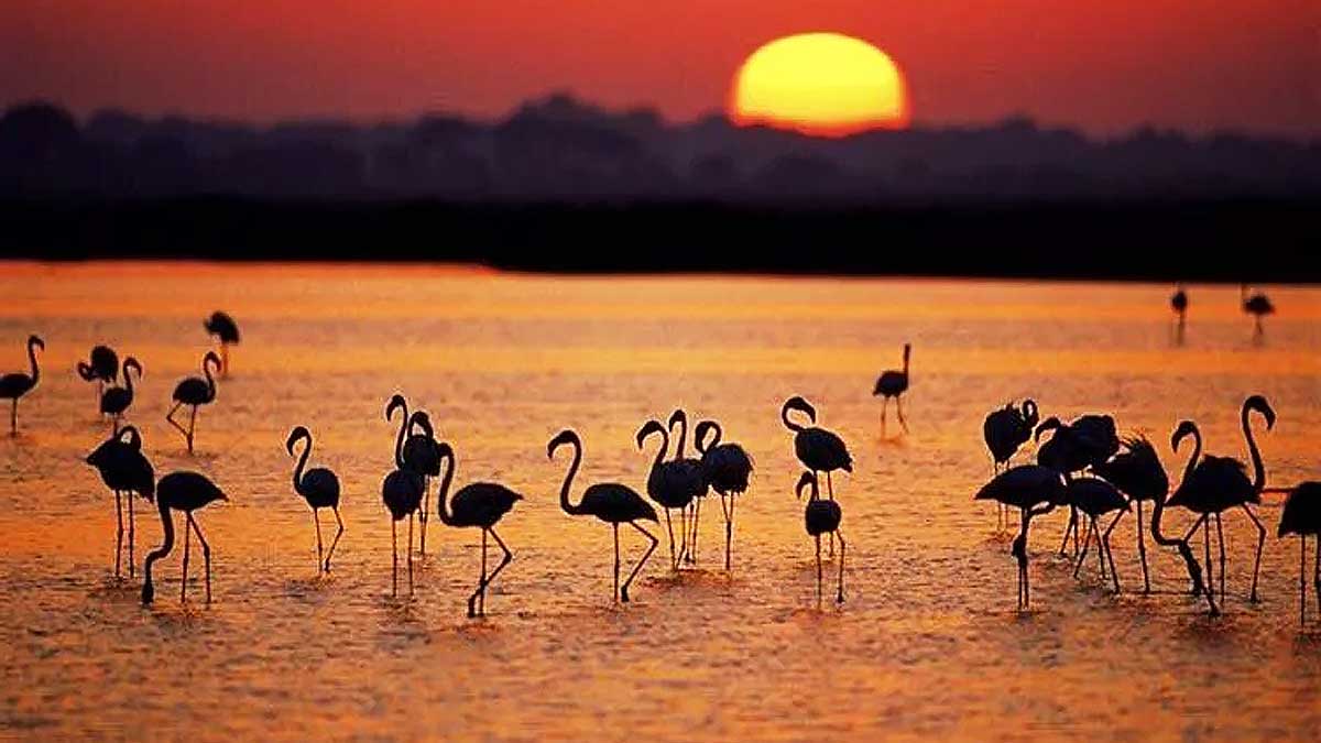 Gobierno central y Junta de Andalucía firman un acuerdo histórico para salvar Doñana