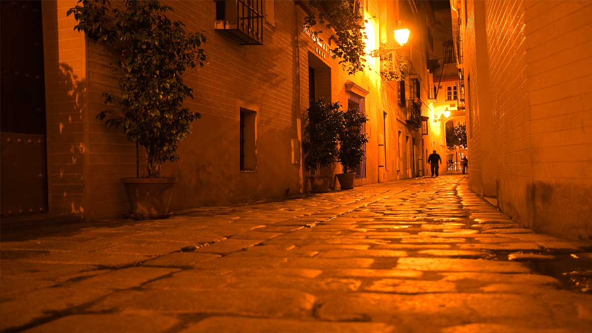 Sevilla estrenará el 21 de diciembre el servicio nocturno de agente cívico