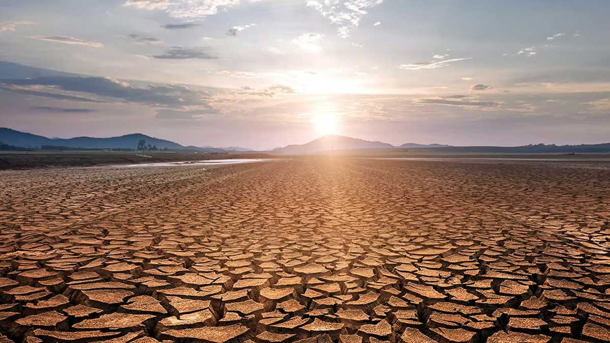 Grave sequía en Andalucía.