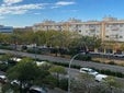 La transformación de uno de sus grandes accesos de Sevilla: más zonas verdes y un nuevo riego para la avenida de Kansas City