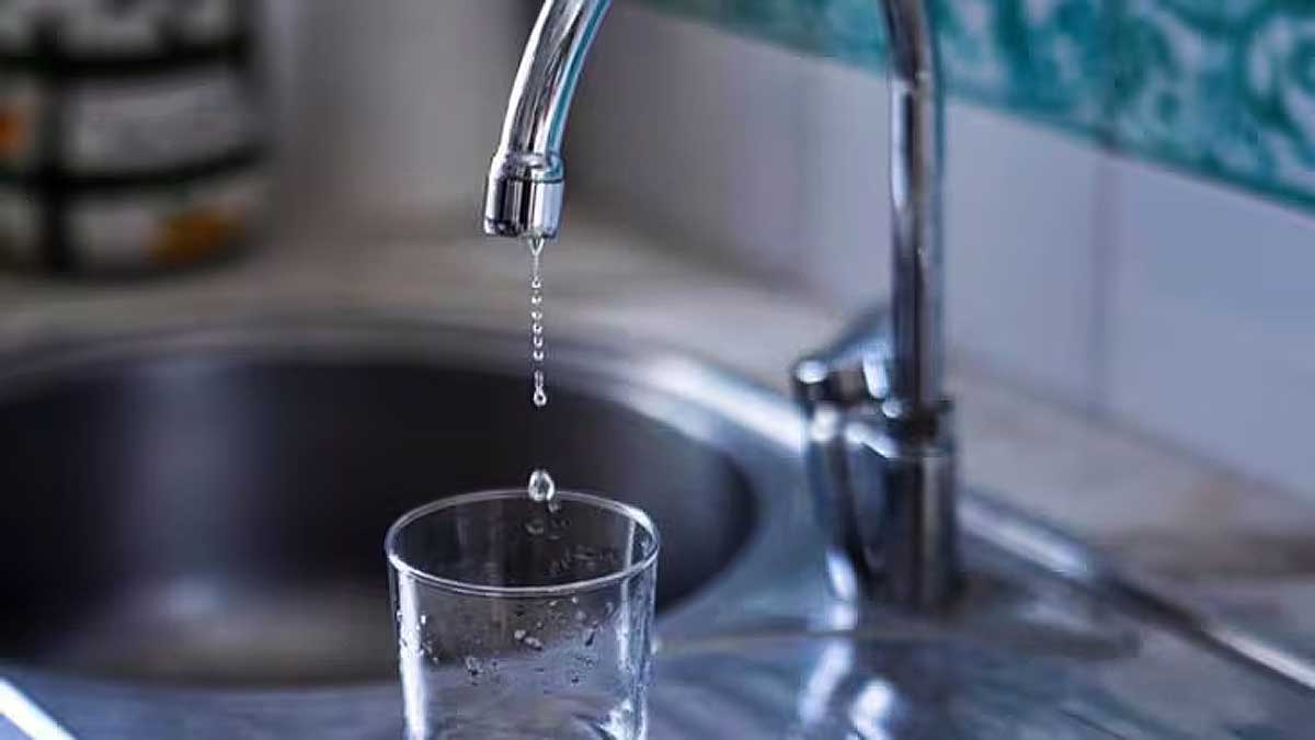 Grifo llenando un vaso de agua.