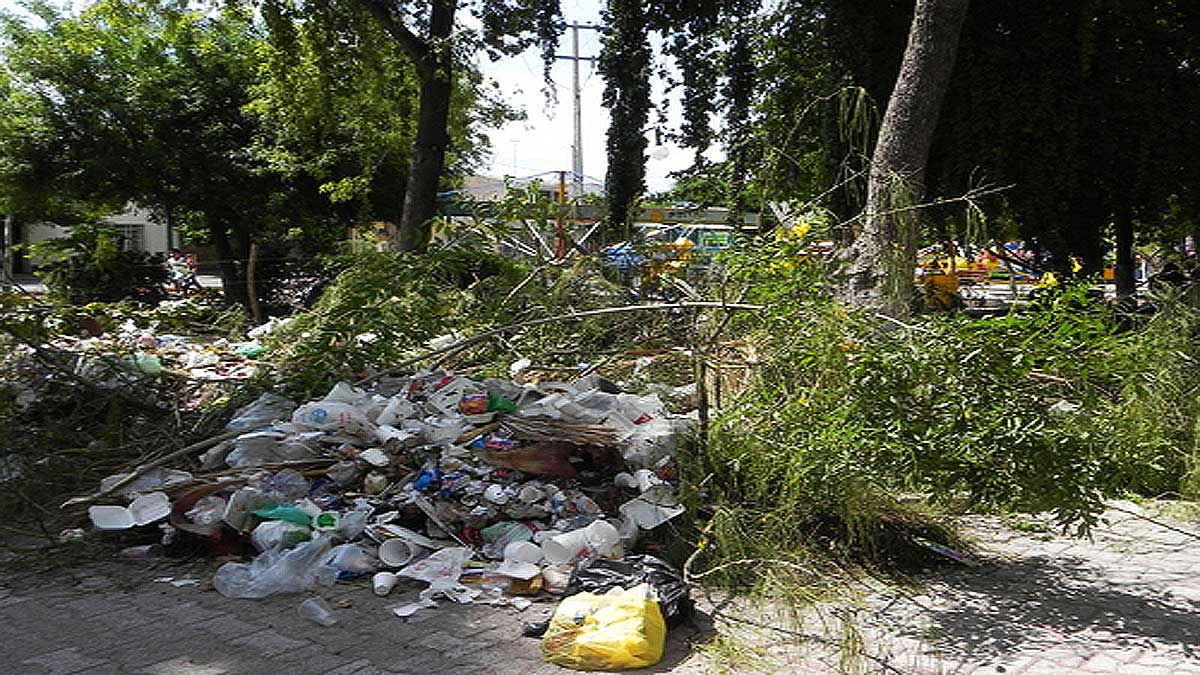 Parque poco cuidado.