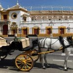 Podemos pide una consulta pública en Sevilla por si deben desaparecer los coches de caballos