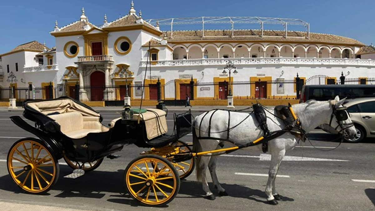 Coche de caballo junto a la Real Maestranza.