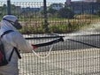 Palomares del Río intensifica el control de mosquitos tras el primer caso de virus del Nilo en Andalucía, Constantina detecta portadores