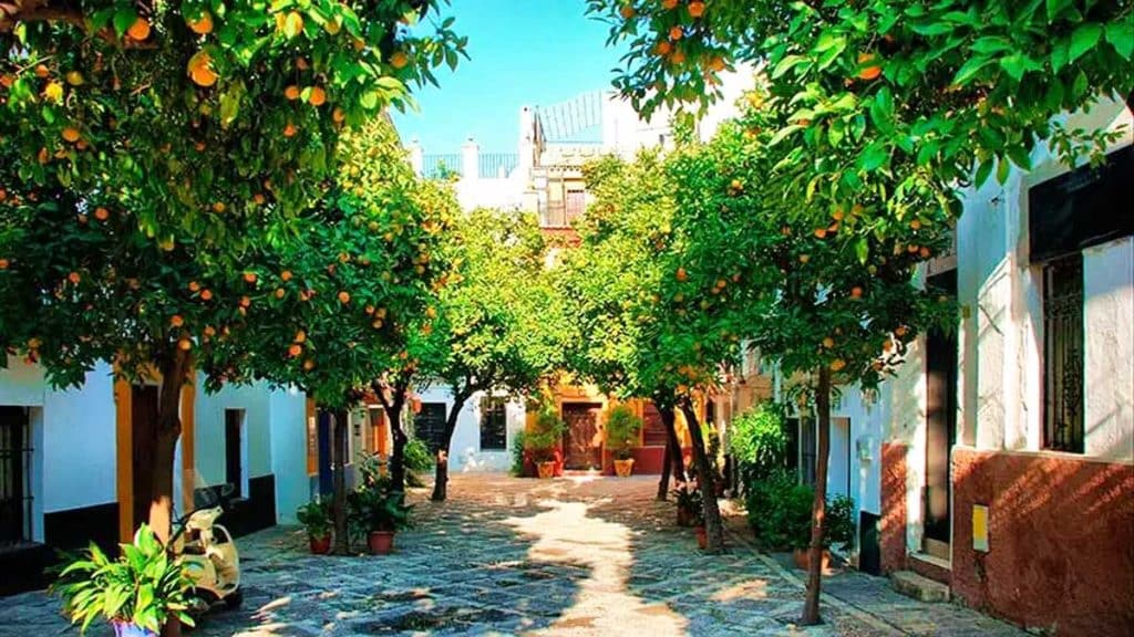 Calle con naranjos en Sevilla.