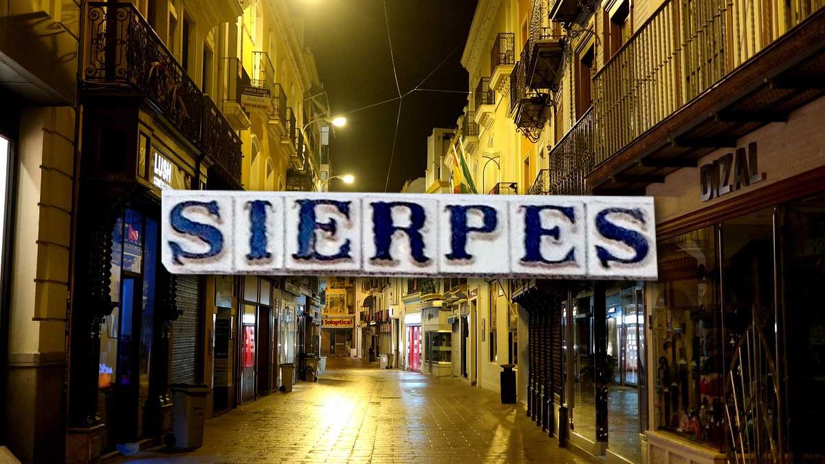 Calle Sierpes de noche.