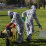 Sevilla en alerta: tres focos de gripe aviar y riesgo por Virus del Nilo