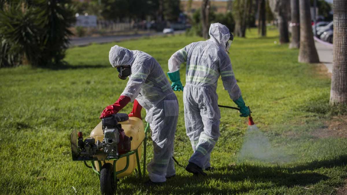 Operarios fumigando contra el virus del Nilo.