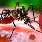 La Junta de Andalucía confirma un caso de fiebre del Nilo y activa medidas en Sevilla y otras provincias