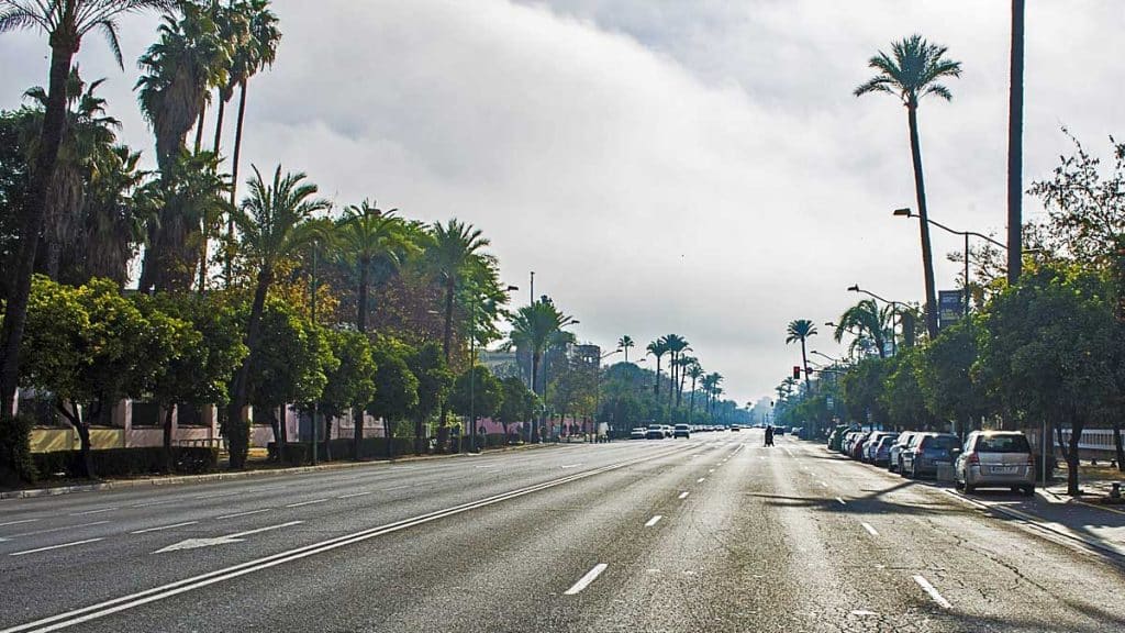 Imagen de la Avenida de la Palmera.