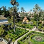 Gripe aviar: cierran preventivamente el Alcázar tras hallar pavos reales y patos muertos en sus jardines