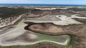 Acuífero en Doñana.