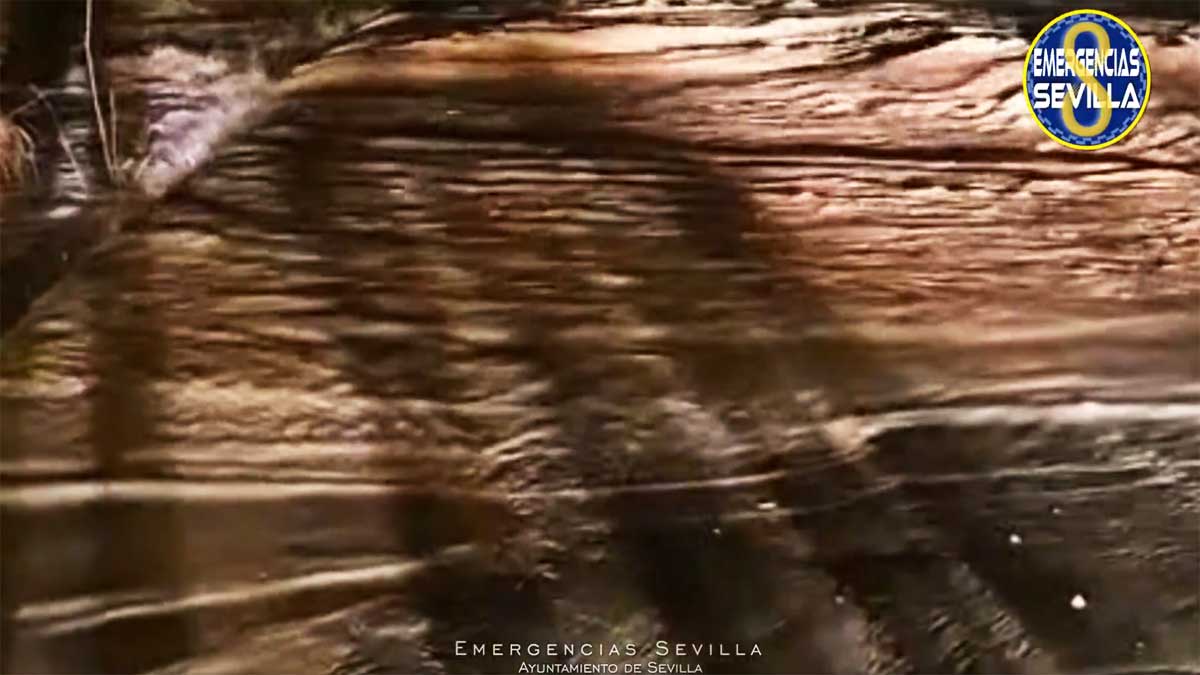 Imagen del arroyo desbodado.