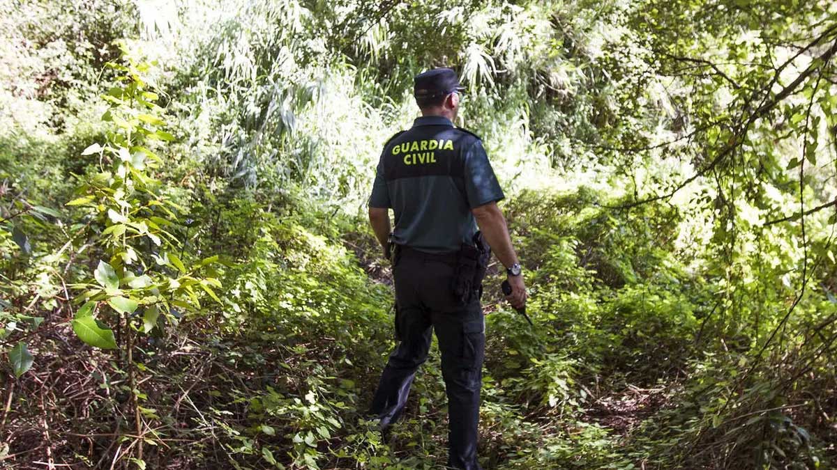 Guardia Civil en un bosque.