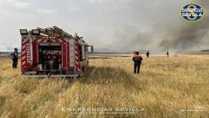 Camión de bomberos rojo en medio de un pastizal y humo al fondo.