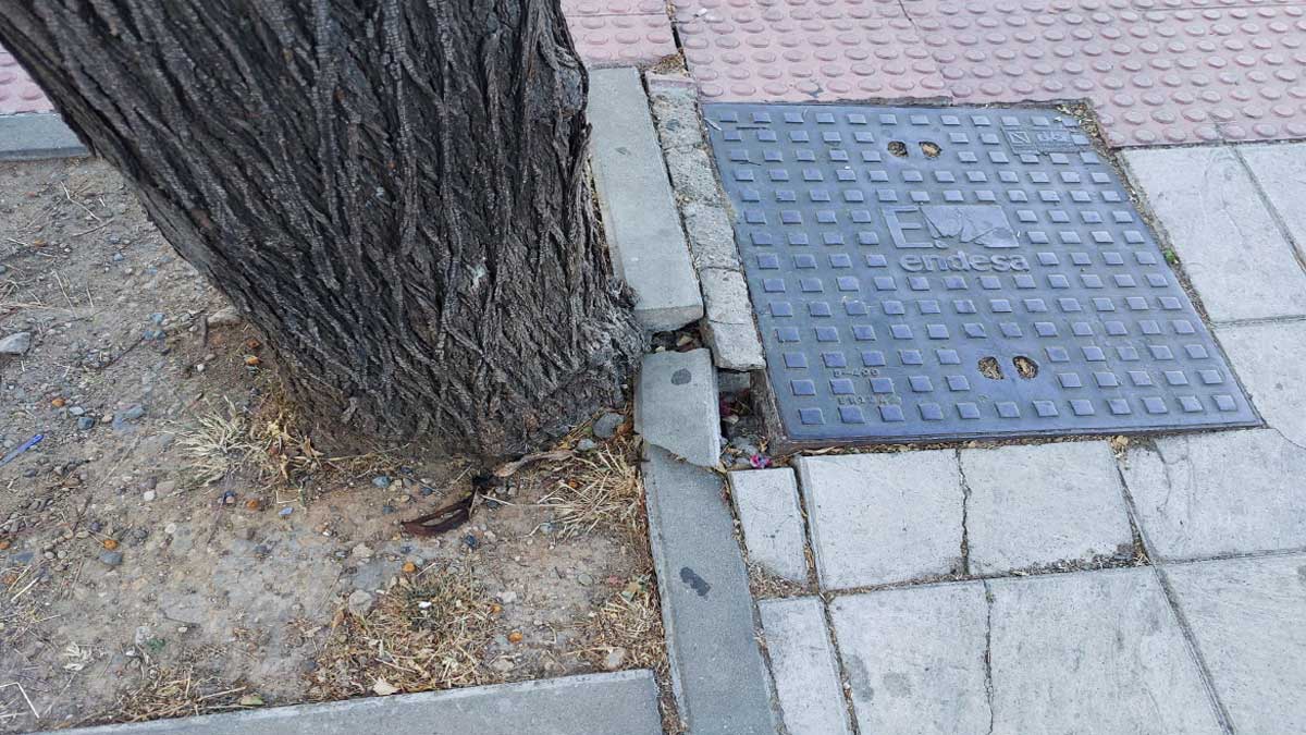Acera levantada junto a un árbol y una tapa de registros en Sevilla-Este.