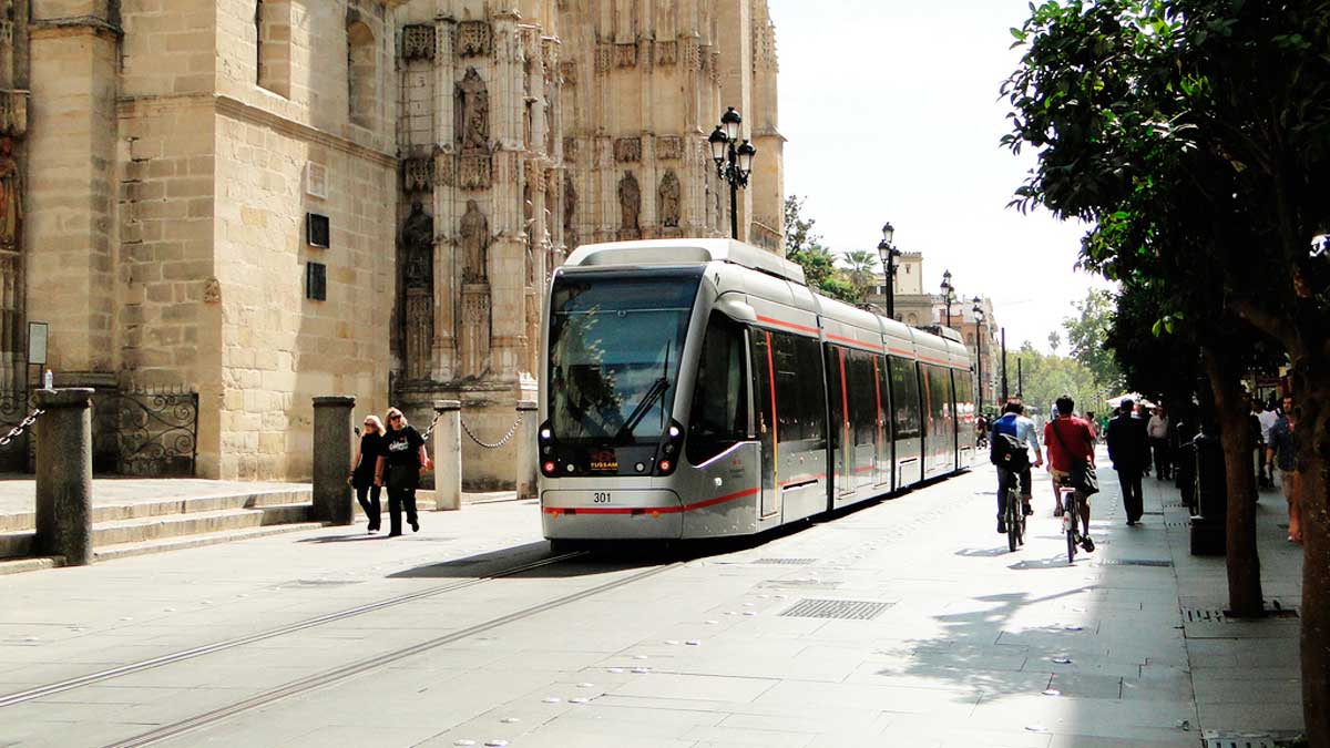 Pocos árboles en la Avenida de la Constitución de Sevilla.