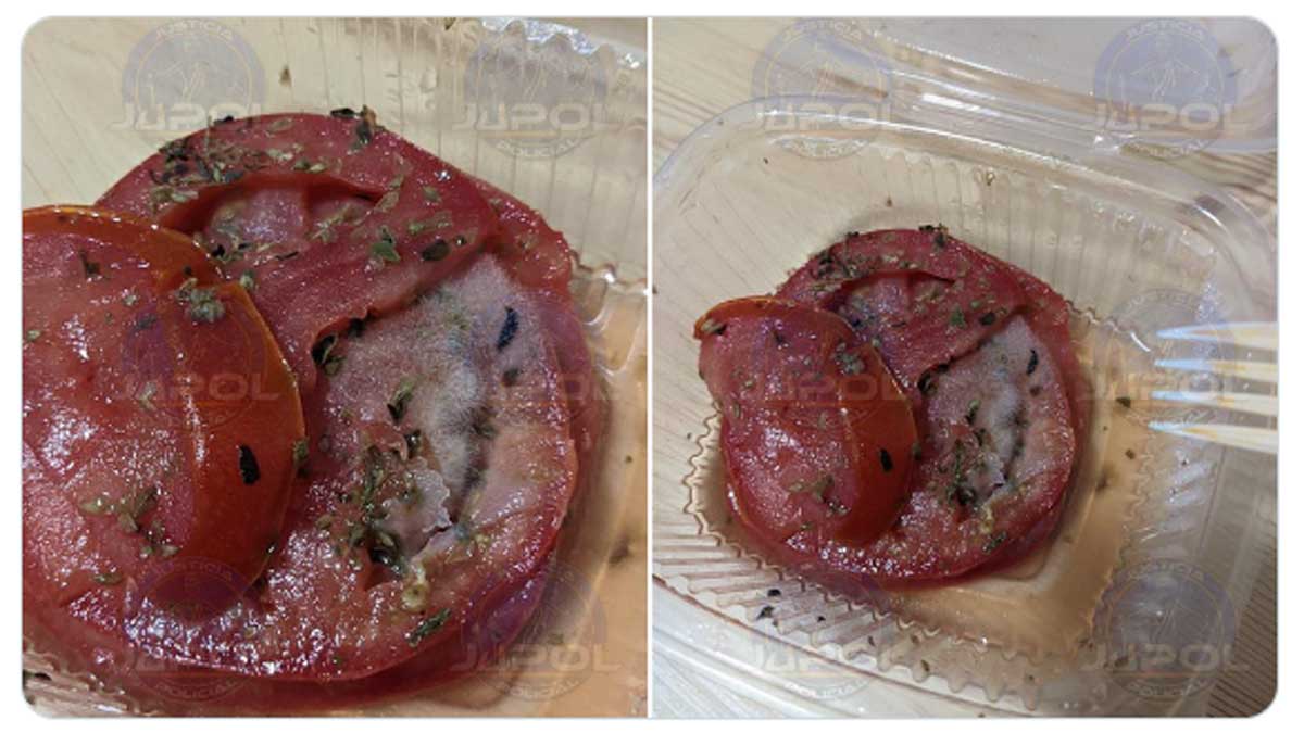 Dos rodajas de tomate con moho.