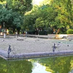 Indignación en Sevilla: denuncian abandono y la muerte de aves en el estanque de Los Lotos del Parque de María Luisa