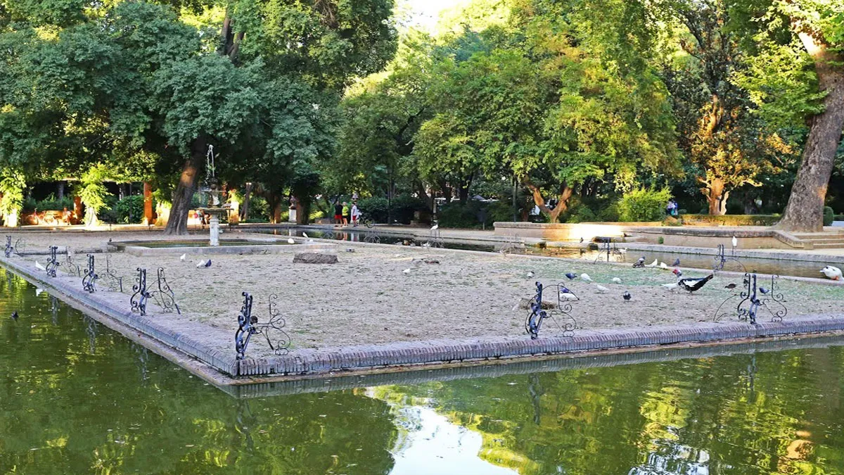 Vista del estanque de los Lotos con la isleta central y los patos alrededor.