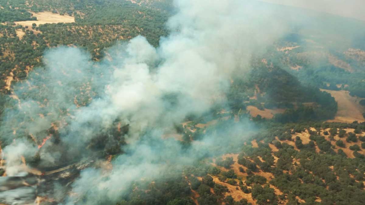 Columna de humo del incendio de San Nicolás del Puerto.
