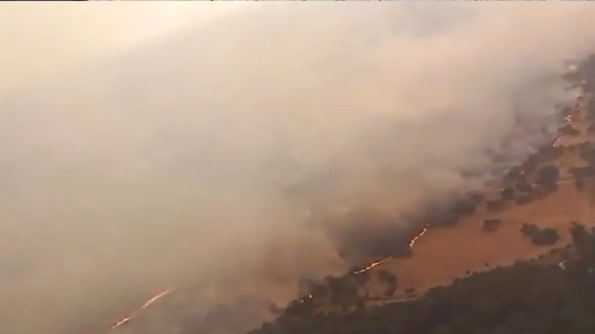Columna de fuego y humo en el incendio forestal de Sanlúcar la Mayor.