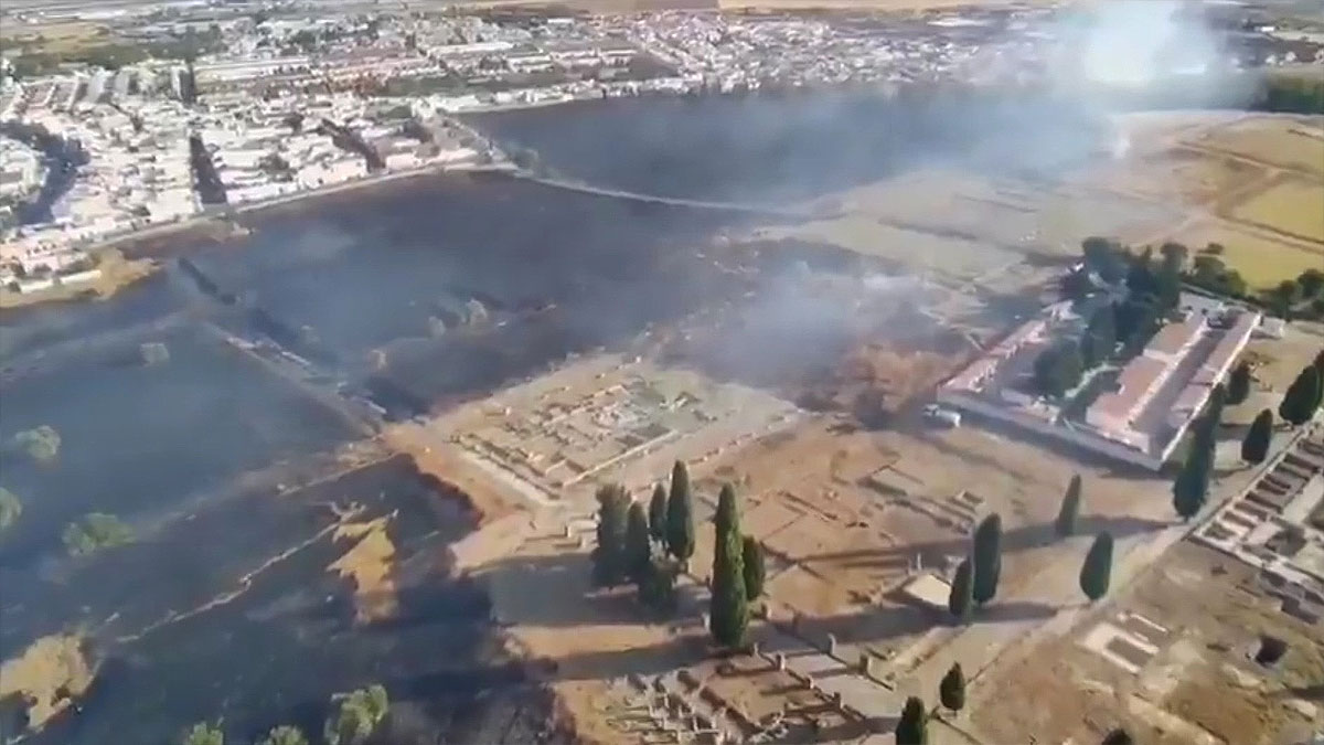 Pastizal quemado por el incendio en las cercanías de las ruinas de Itálica.