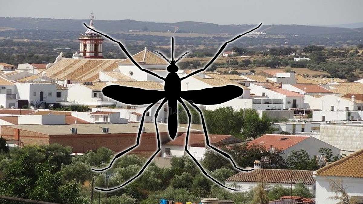 Pueblo de Castilblanco de los Arroyos con un mosquito negro sobreimpresionado.