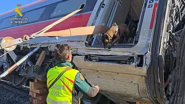 Perro de rescate junto a un agente en un vagón buscando víctimas.