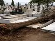 El Cementerio de Sevilla sigue cerrado con más de 120 tumbas dañadas y 80 árboles caídos tras el temporal