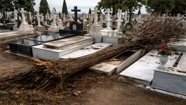 Tumba de mármol blanco dañada con un árbol caído encima.