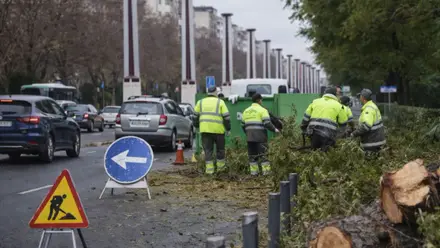 Diferentes personas, vestidas de fluorescente, retiran ramas de la carretera.