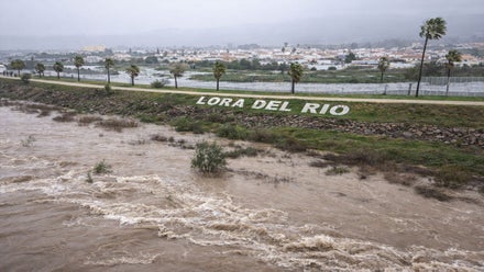 Nivel muy alto del cauce del Guadalquivir.