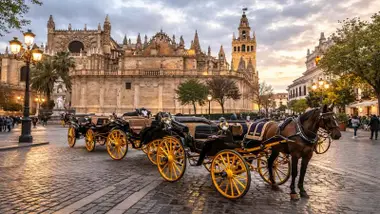 Coches de caballo en negro con ruedas amarillas junto a la Catedral y la Giralda.