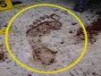 Un crimen con 20 puñaladas y una pista clave, la huella del pie que resolvió el asesinato en Sevilla