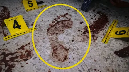 Huella con sangre del culpable.