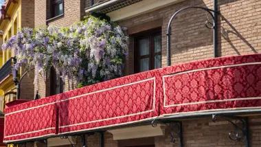 Balcón en el que lucía un vistoso árbol.